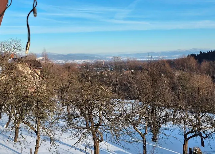 Дом отдыха Willa Szczyrk *